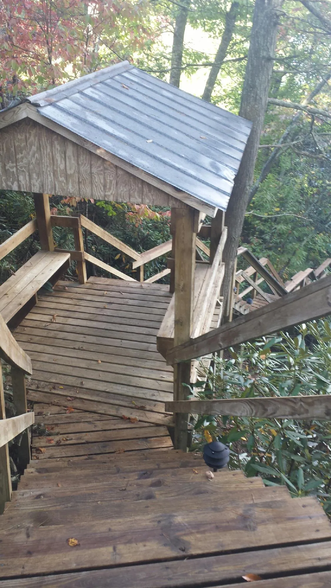 Metal roofed shelter over wooden steps on a wooded walkway — Skylight Repair & Installation work by our crew in Mc Farland