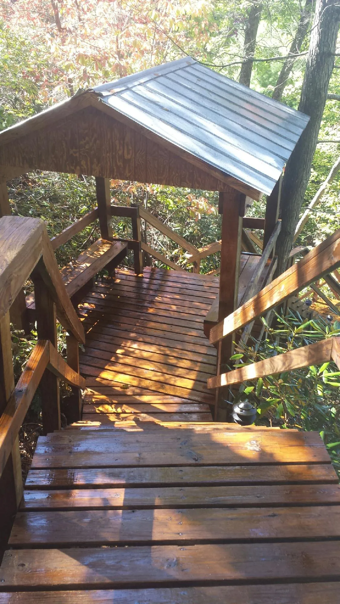 Freshly stained wood walkway and covered shelter with a metal roof in Mc Farland